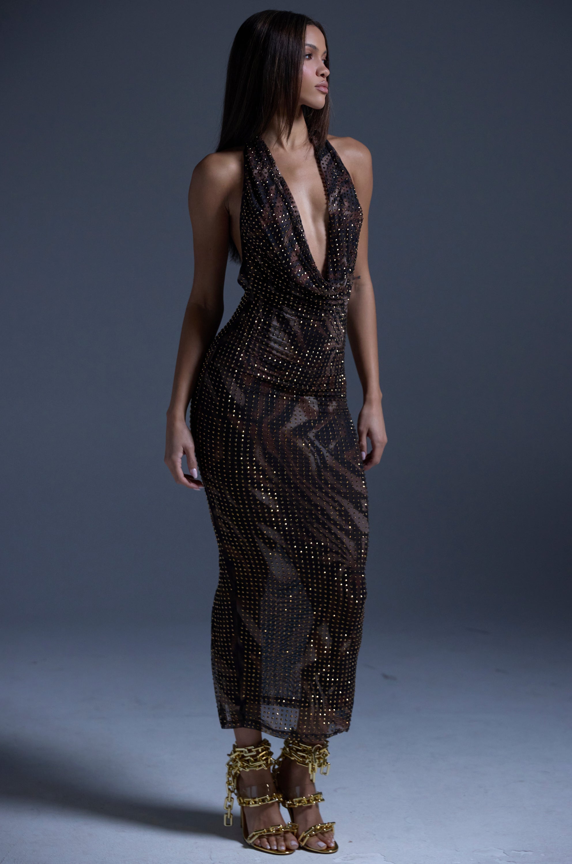 LENNON PRINTED MESH RHINESTONE MIDI DRESS
