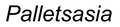 Palle Tsasia