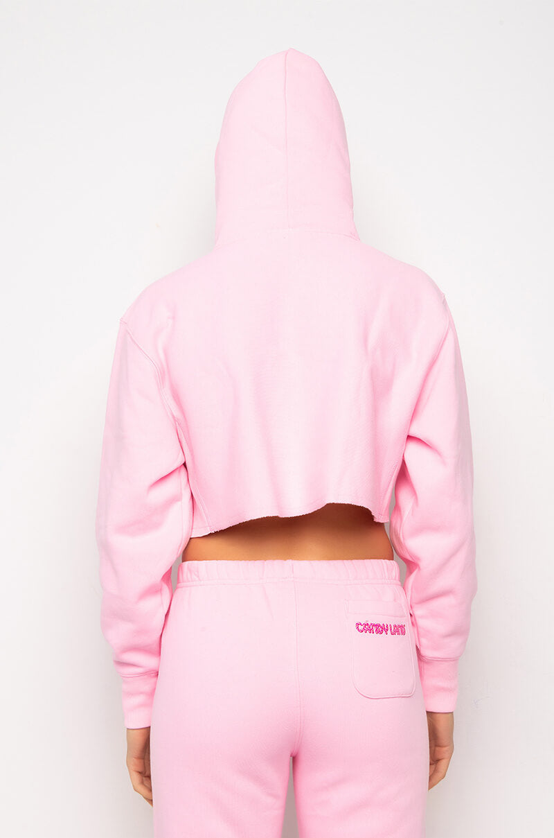 CHAMPION CANDY LAND CROPPED REVERSE WEAVE HOOD - GRAPHIC