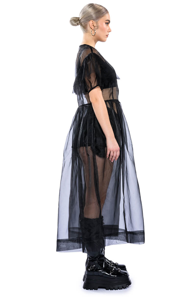 DAPHINE MESH DUSTER