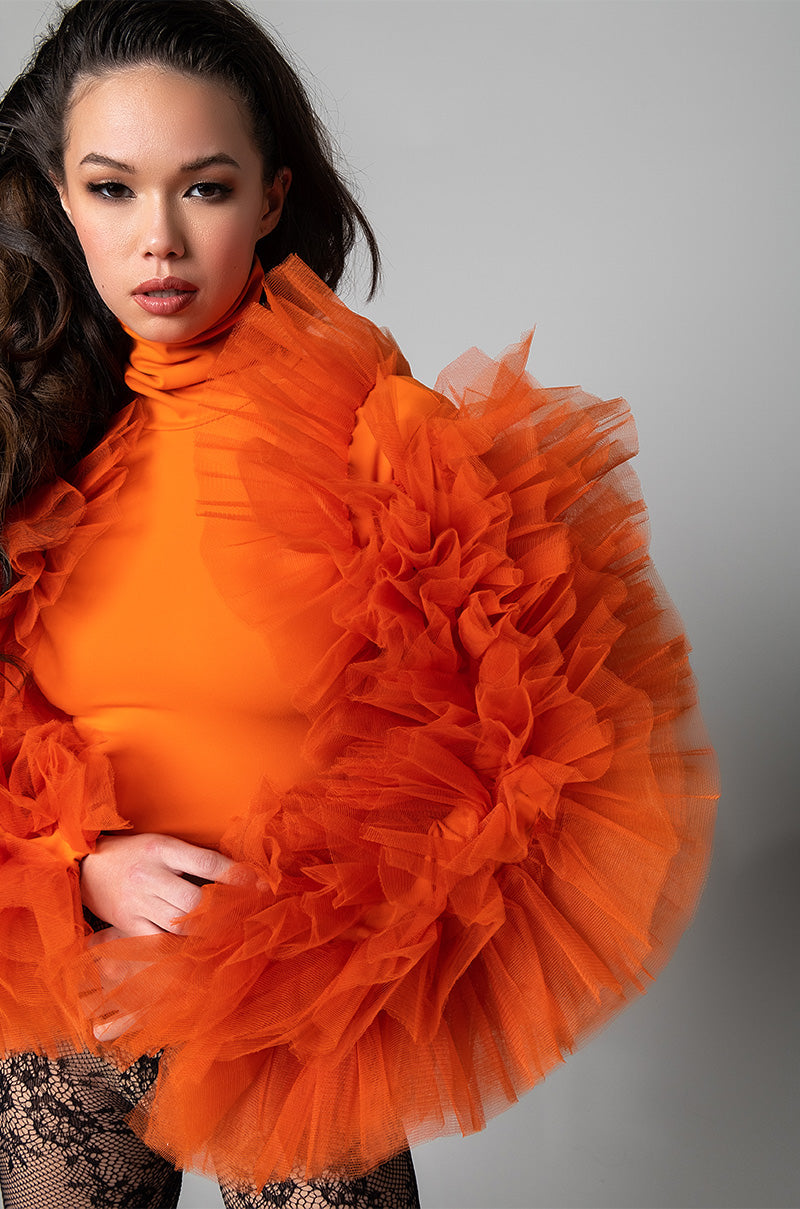 DARING TULLE RUFFLE LONG SLEEVE TOP