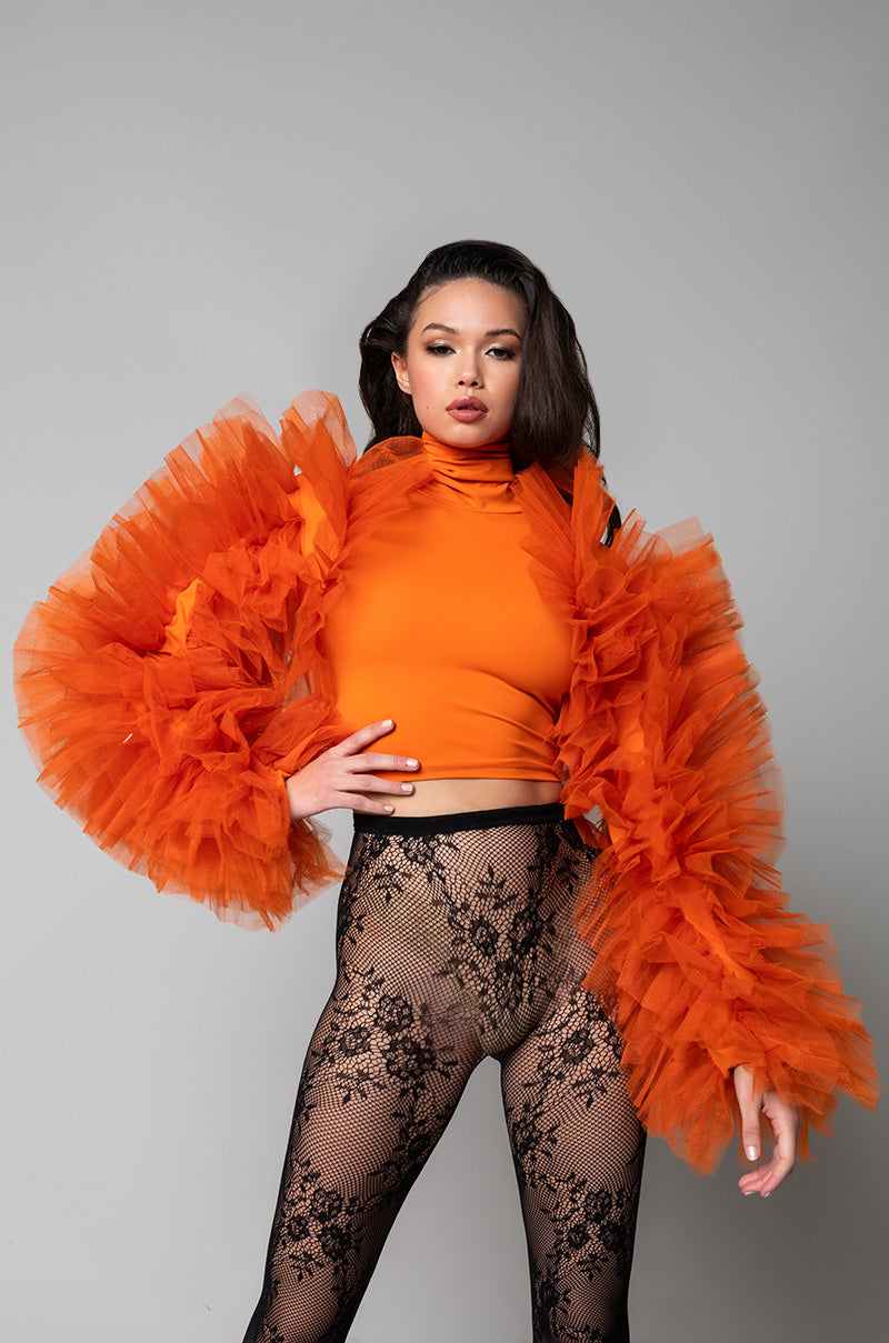 DARING TULLE RUFFLE LONG SLEEVE TOP