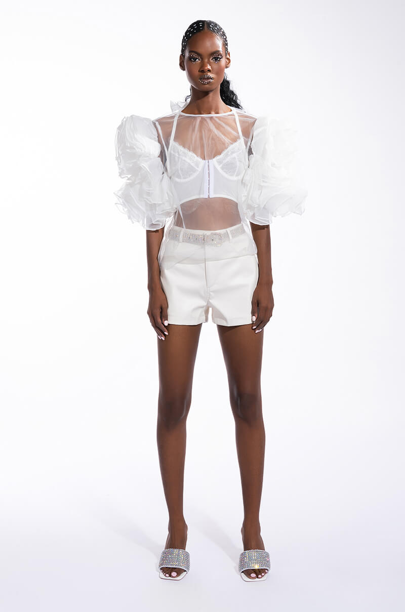 DAYDREAMIN SHEER RUFFLE SLEEVE TIERED DRESS