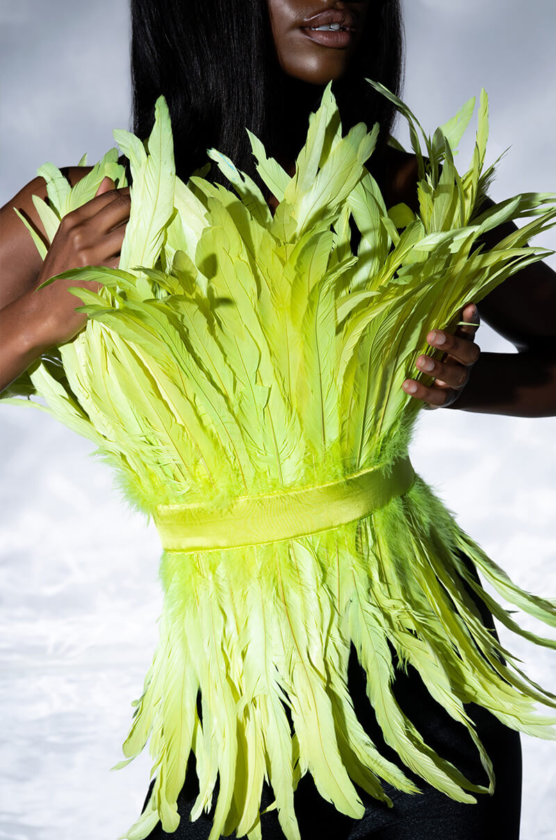 ISLA STATEMENT STRAPLESS FEATHER TOP
