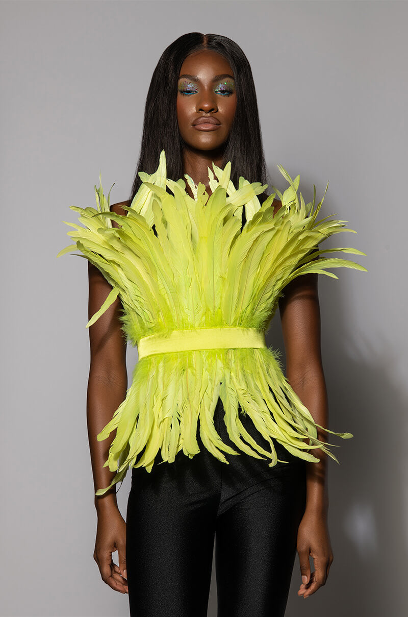 ISLA STATEMENT STRAPLESS FEATHER TOP