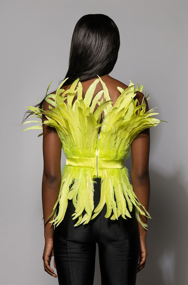 ISLA STATEMENT STRAPLESS FEATHER TOP
