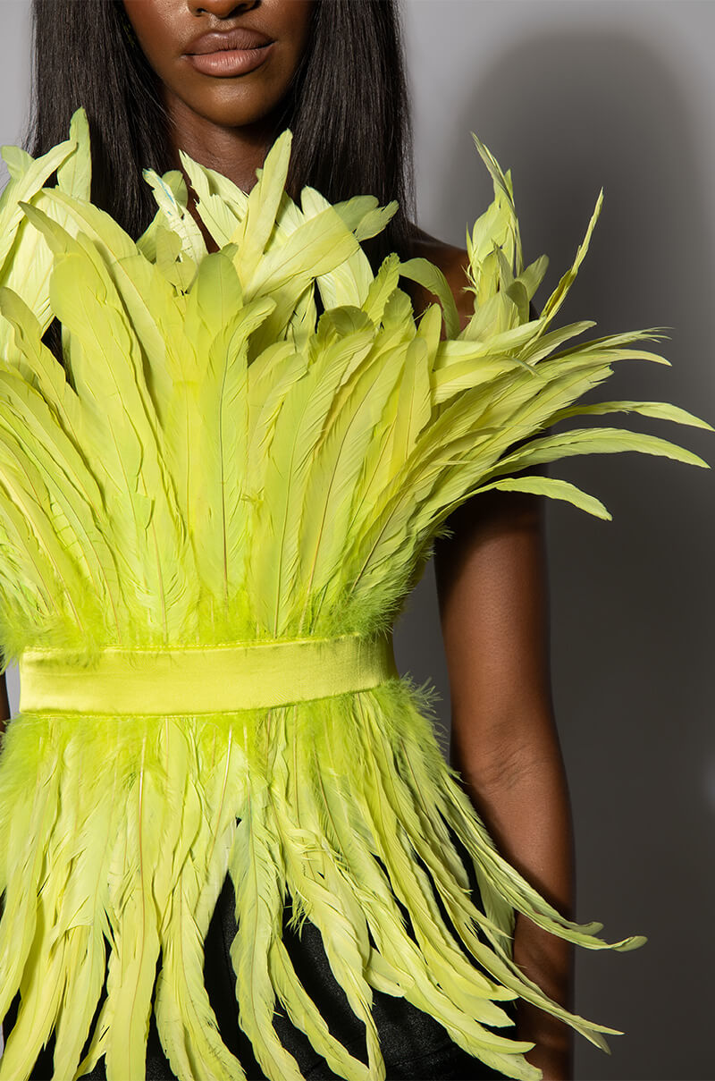 ISLA STATEMENT STRAPLESS FEATHER TOP