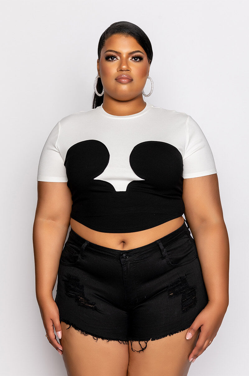 PLUS DAPHNE COLORBLOCK CREW NECK TSHIRT