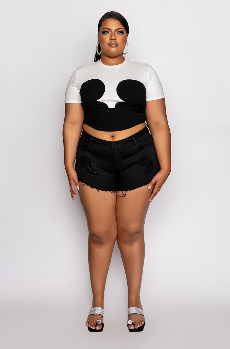 PLUS DAPHNE COLORBLOCK CREW NECK TSHIRT