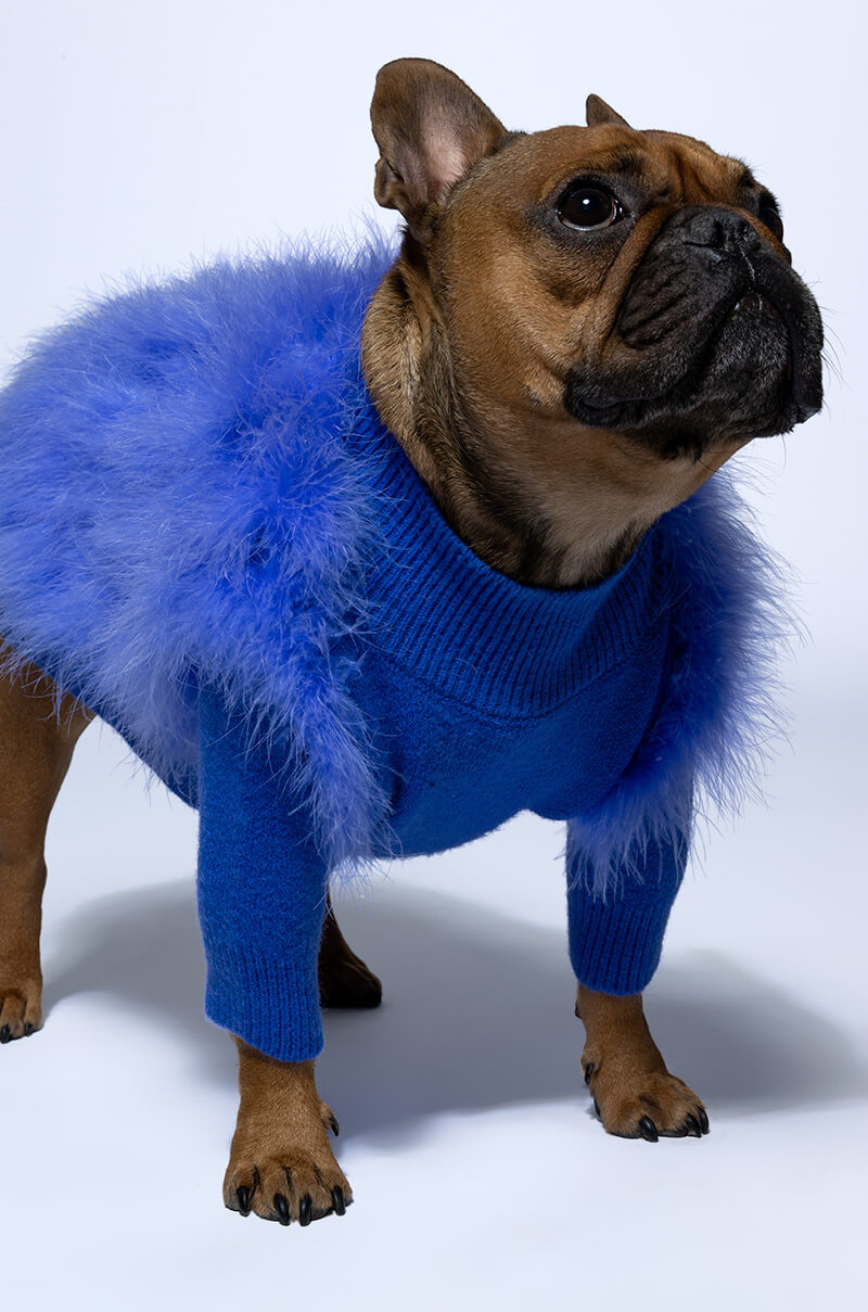 QUINN FEATHER DOGGY SWEATER