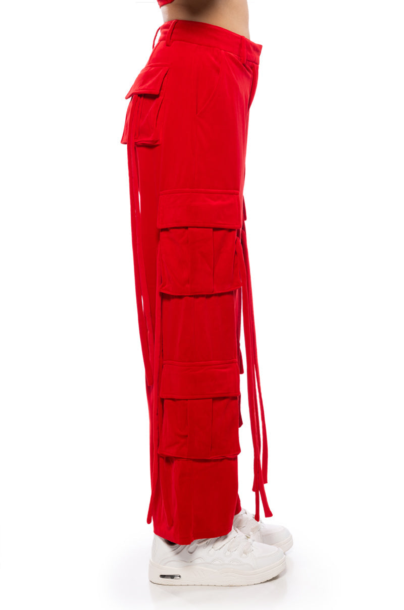 STYLIST WIDE LEG VELVET CARGO PANTS