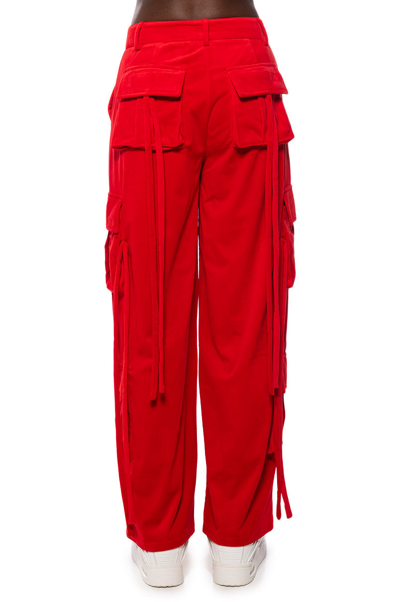 STYLIST WIDE LEG VELVET CARGO PANTS