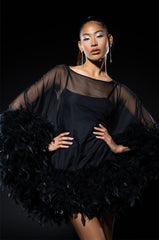 THAT VA VA VOOM LONG SLEEVE SHEER TRAPEZE DRESS